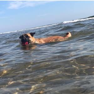 Meet your Posher, Dean